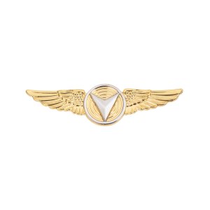 Marine Corps Badge: Unmanned Aircraft Systems (UAS) Enlisted Miniature Size, 24K Gold Plated