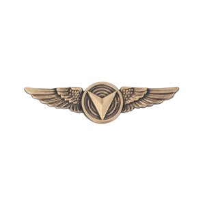 Marine Corps Badge: Unmanned Aircraft Systems (UAS) Enlisted Regulation Size, Bronze plated