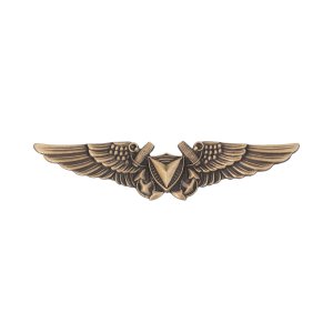 Marine Corps Badge: Unmanned Aircraft Systems (UAS) Officer Regulation Size, Bronze Plated