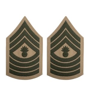 Marine Corps Chevron: Master Gunnery Sergeant, green on khaki, female