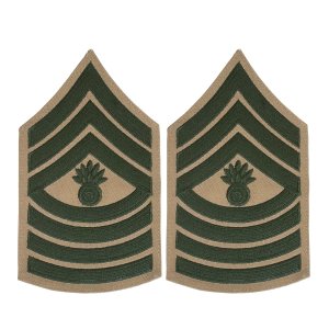 Marine Corps Chevron: Master Gunnery Sergeant, green on khaki for male