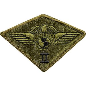 Marine Corps Patch: Second Air Wing, subdued