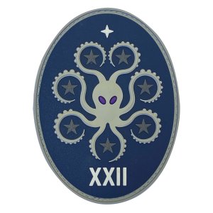 Space Force PVC Patch: 22nd Space Operations Squadron with hook
