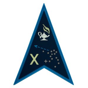 Space Force PVC Patch: Space Delta 10 with hook