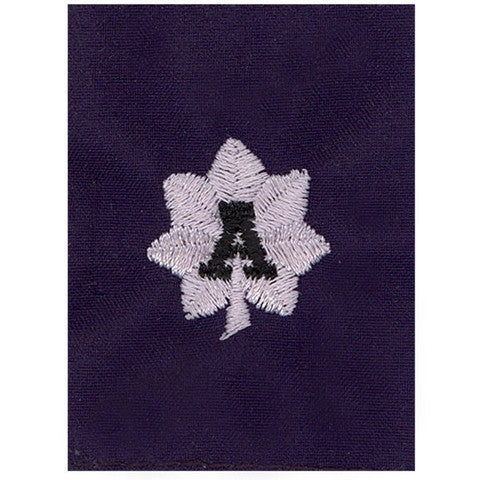 Picture of US Coast Guard Auxiliary Officer Rank Auxiliary Jacket Tab Dcdr