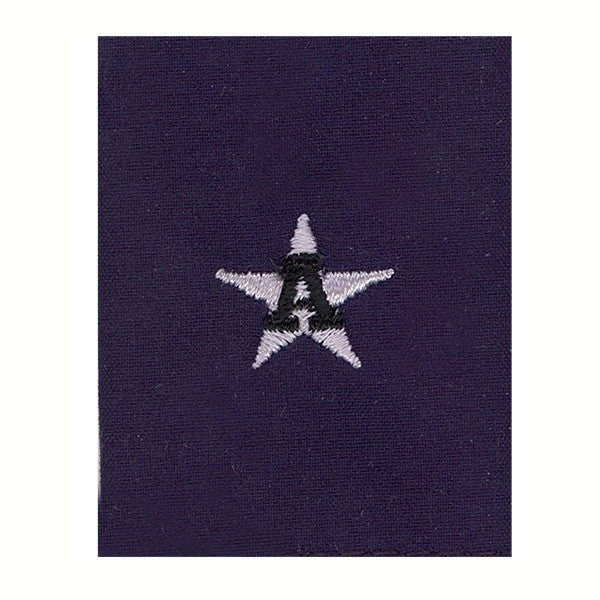 Picture of US Coast Guard Auxiliary Officer Rank Auxiliary Jacket Tab Dco