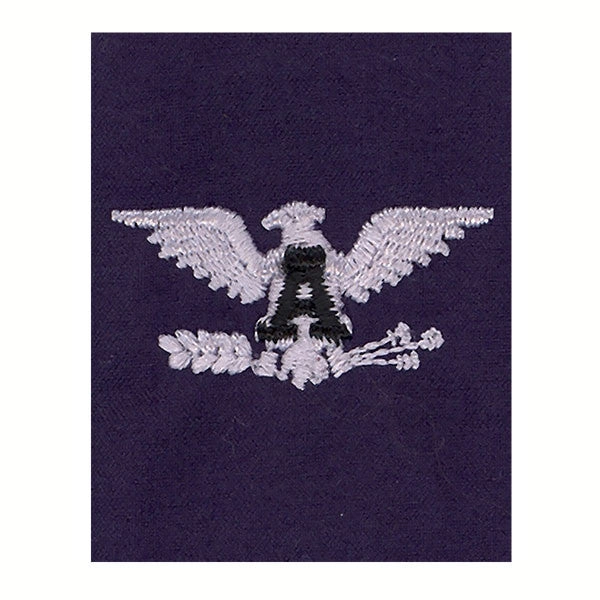 Picture of US Coast Guard Auxiliary Shoulder Boards Auxiliary Jacket Tabvco/Rco
