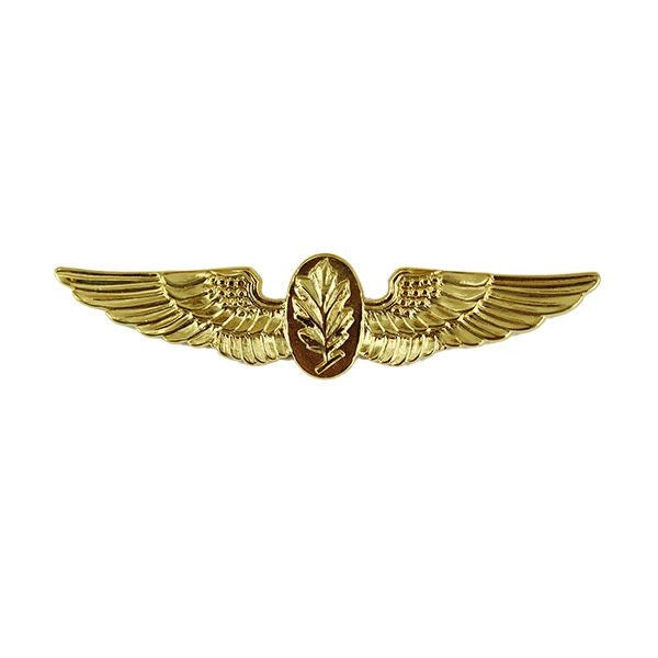 Picture of US Navy Badges Aviation Physiologist: Miniature Gold Finish