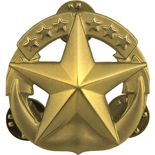 Picture of US Navy Badges Command At Sea: Regulation Size