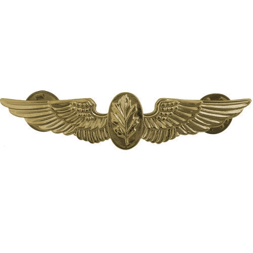 Picture of US Navy Badges Flight Nurse: Regulation Size