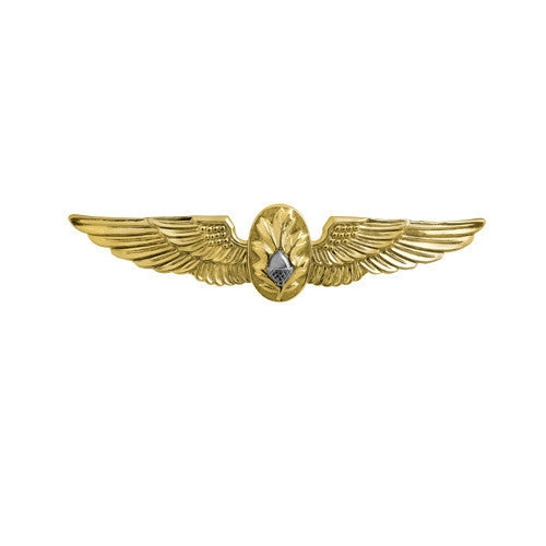 Picture of US Navy Badges Flight Surgeon: Miniature Mirror Finish