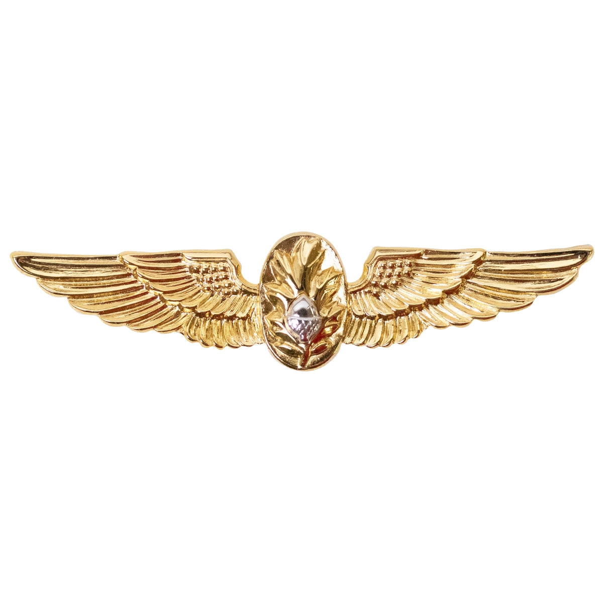 Picture of US Navy Badges Flight Surgeon: Regulation Size
