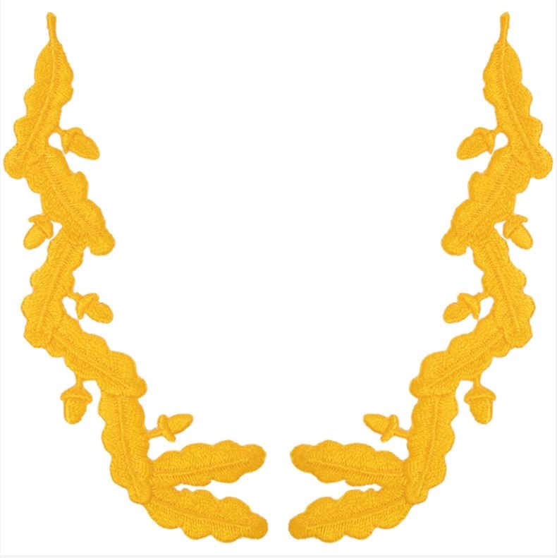 Picture of US Navy Officer Rank Scrambled Eggsfor Captain/Commander Rank S
