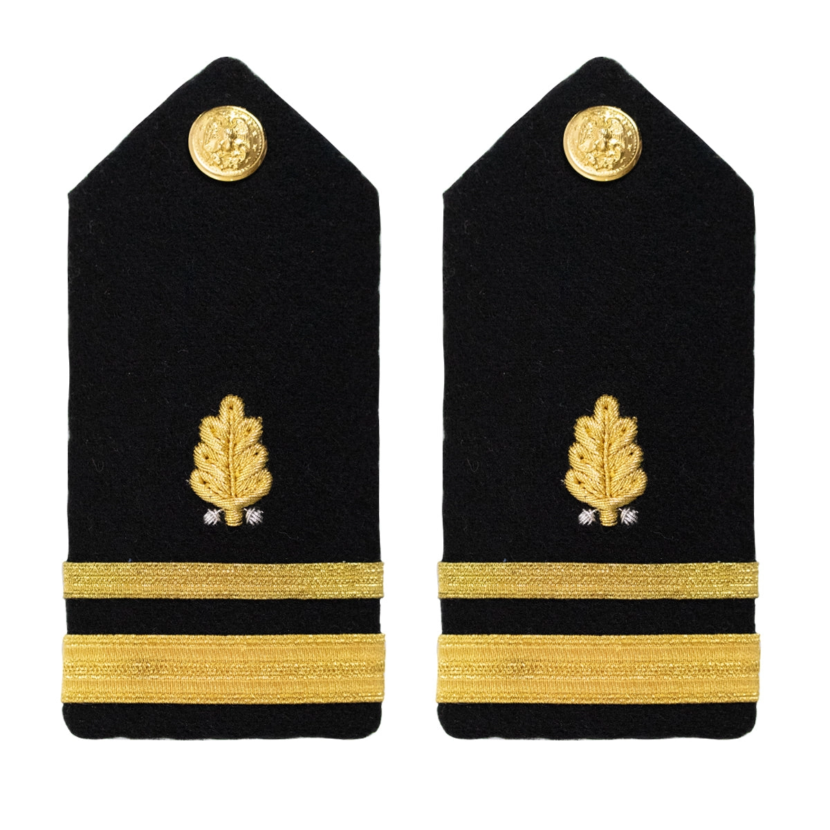 Picture of US Navy Shoulder Boards Shoulder Boardlieutenant Junior Grade Dental Corps: Female