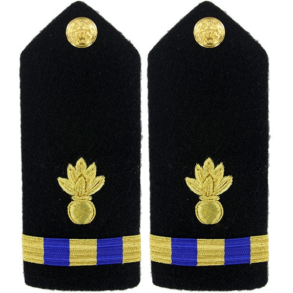 Picture of US Navy Shoulder Boards Shoulder Boardwarrant Officer 3 Ordnance Technician
