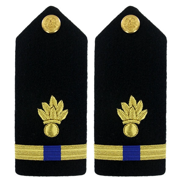 Picture of US Navy Shoulder Boards Shoulder Boardwarrant Officer 4 Ordnance Technician