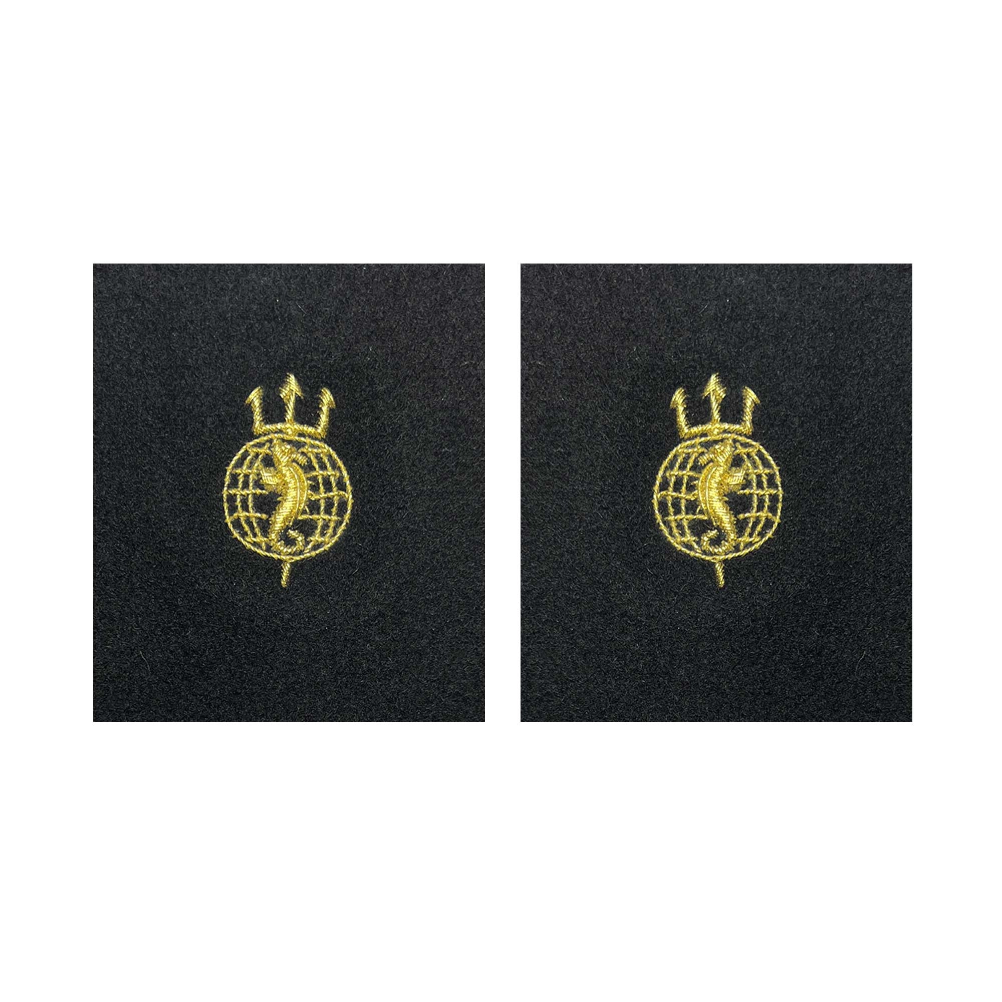 Picture of US Navy Sleeve Devices Sleeve Device Acoustic Technician