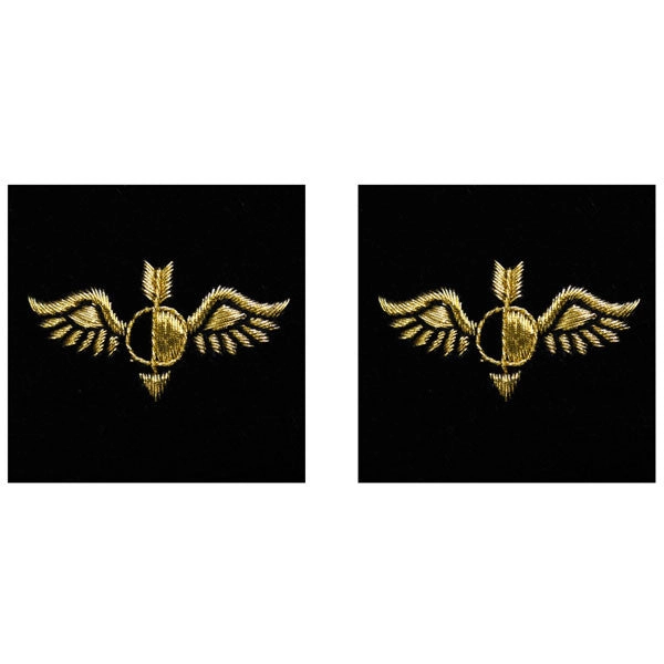 Picture of US Navy Sleeve Devices Sleeve Device Aerographer