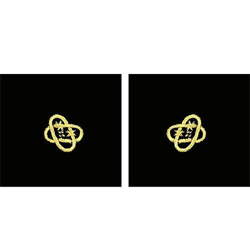 Picture of US Navy Sleeve Devices Sleeve Device Electronics Technician