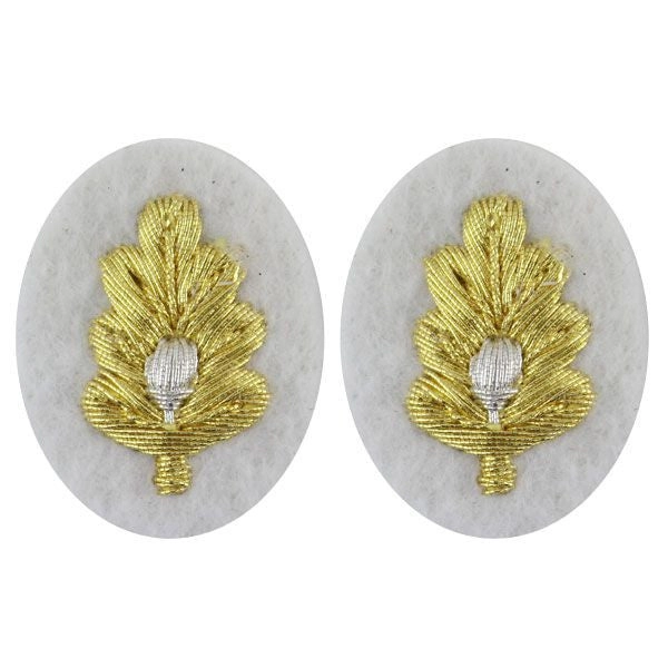 Picture of US Navy Sleeve Devices Sleeve Device Medical Corps: Synthetic Gold Embroidered On White