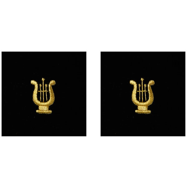 Picture of US Navy Sleeve Devices Sleeve Device Musician